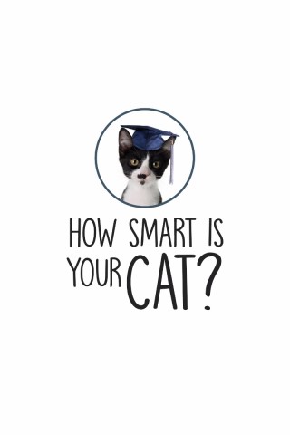 HOW SMART IS YOUR CAT