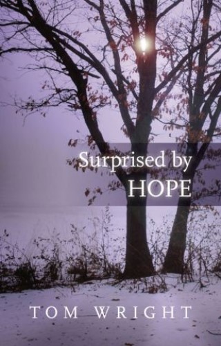 Surprised by Hope Cover Image