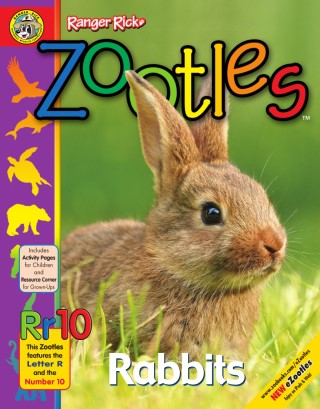 Ranger Rick® Zootles - Rabbits